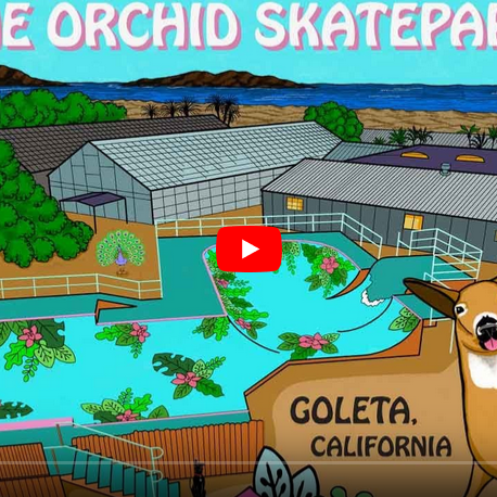 Crusty in Skatelite's "Orchid Skatepark" promo